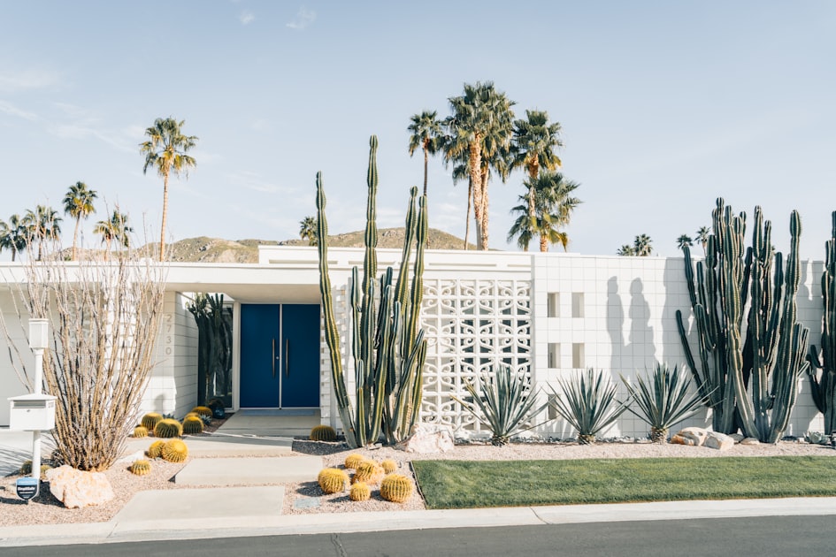 Luxury Landscaping Design Services