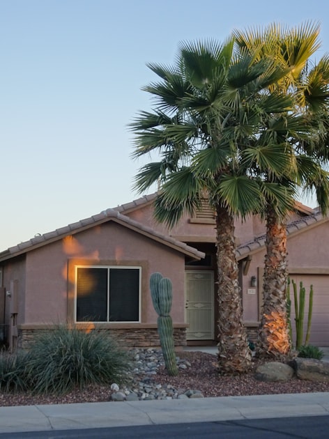 Transform Your Home with Desert Landscaping